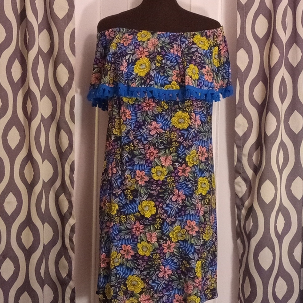 Woman's dress (B)